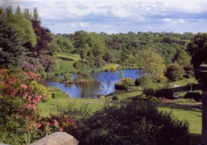 Consall garden view Consall garden view