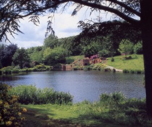 consall garden view consall garden view